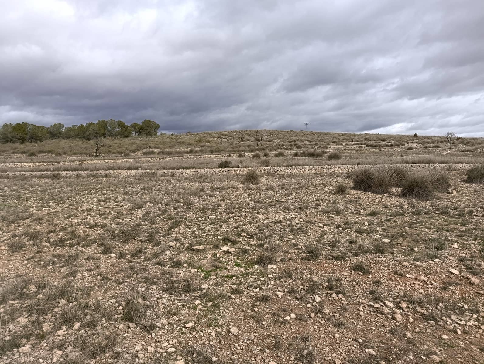 Terre non Aménagée à vendre à Abanilla - 65 000 € (Ref: 9894952)