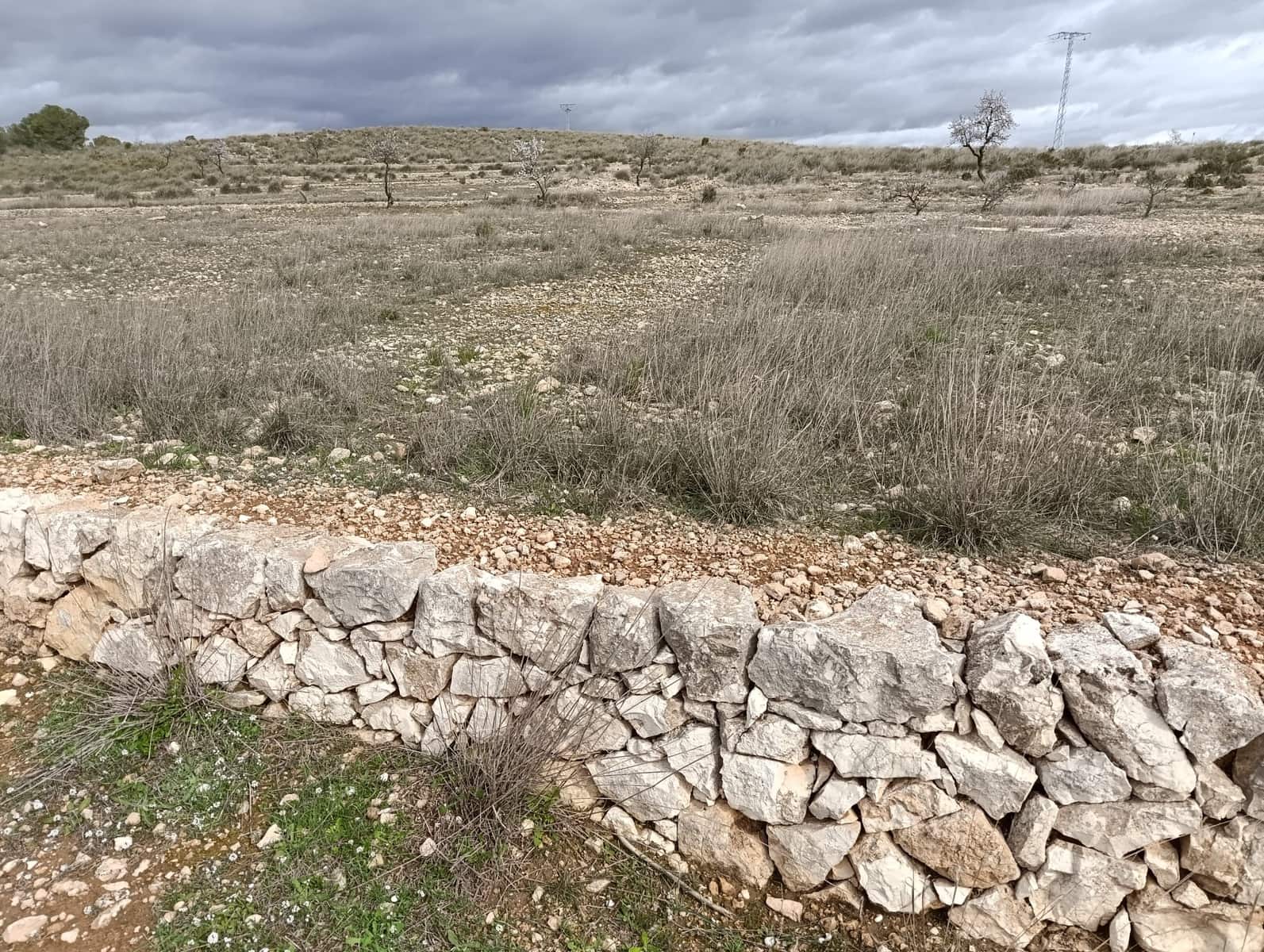 Terre non Aménagée à vendre à Abanilla - 65 000 € (Ref: 9894952)