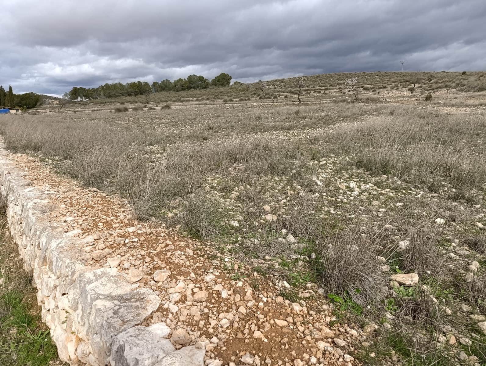 Terre non Aménagée à vendre à Abanilla - 65 000 € (Ref: 9894952)