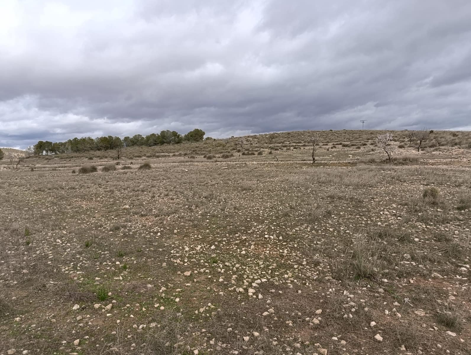 Terre non Aménagée à vendre à Abanilla - 65 000 € (Ref: 9894952)