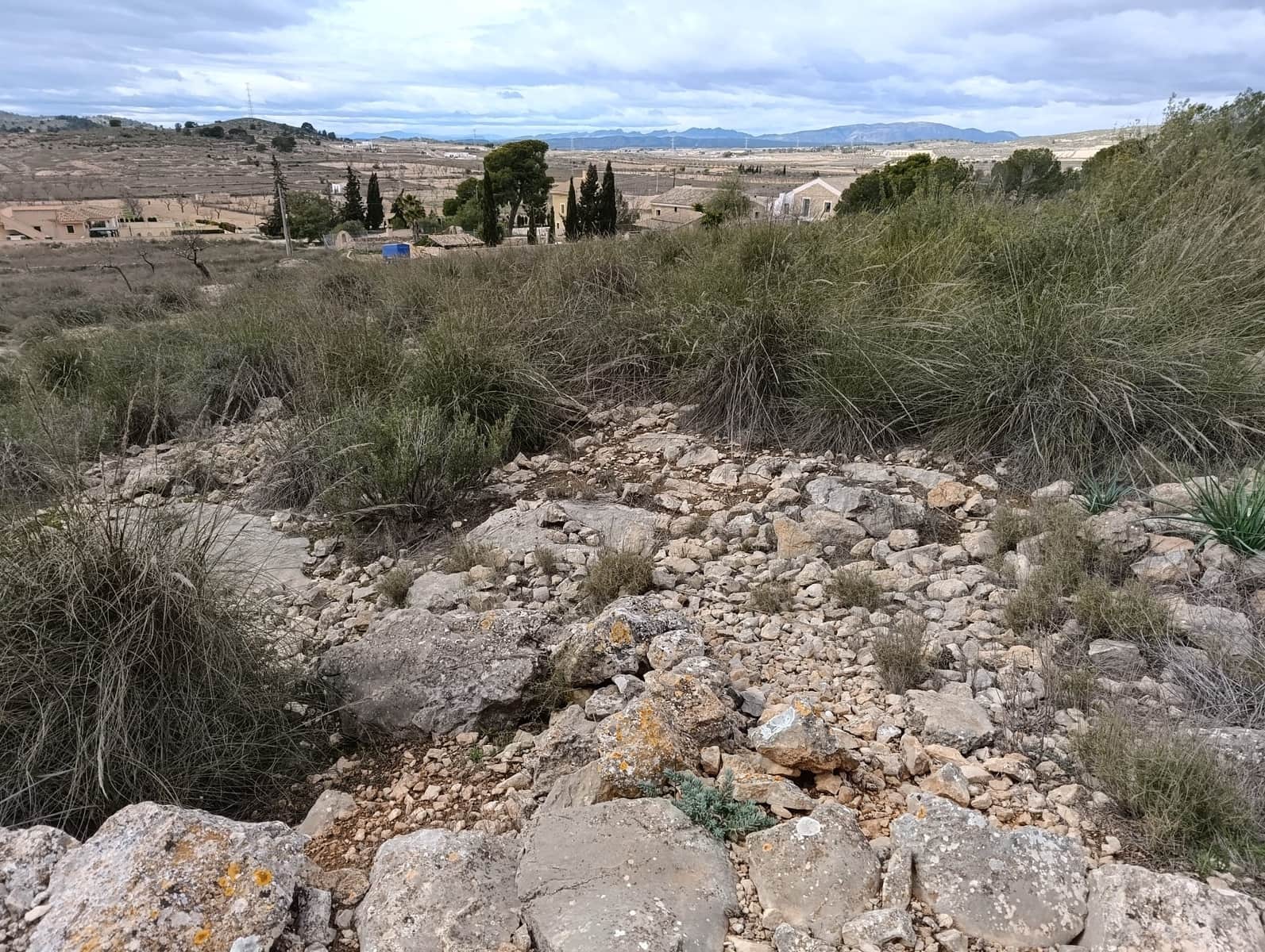 Terre non Aménagée à vendre à Abanilla - 65 000 € (Ref: 9894952)