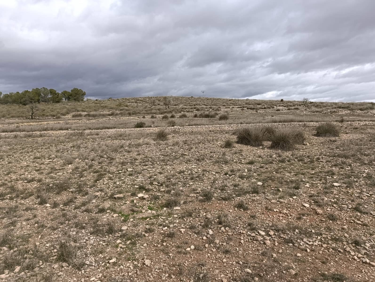 Terre non Aménagée à vendre à Abanilla - 65 000 € (Ref: 9894952)