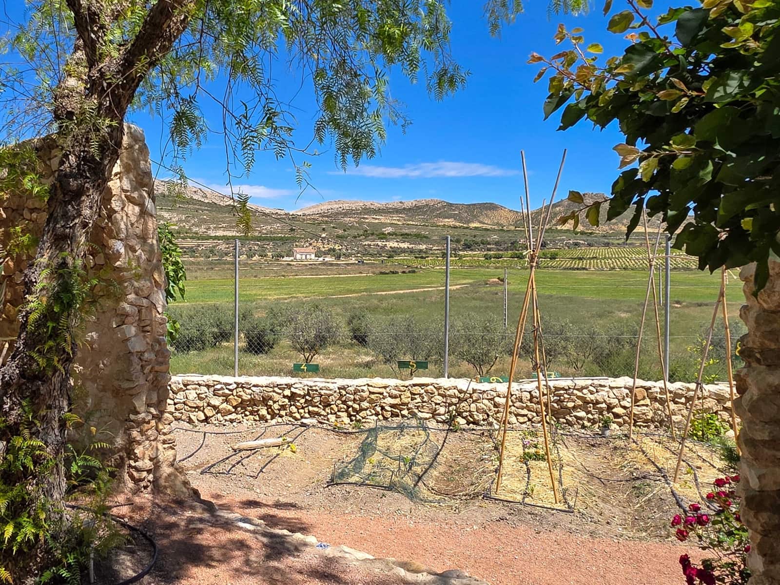 6 chambre Finca/Maison de Campagne à vendre à Torre del Rico avec piscine - 395 000 € (Ref: 9910028)