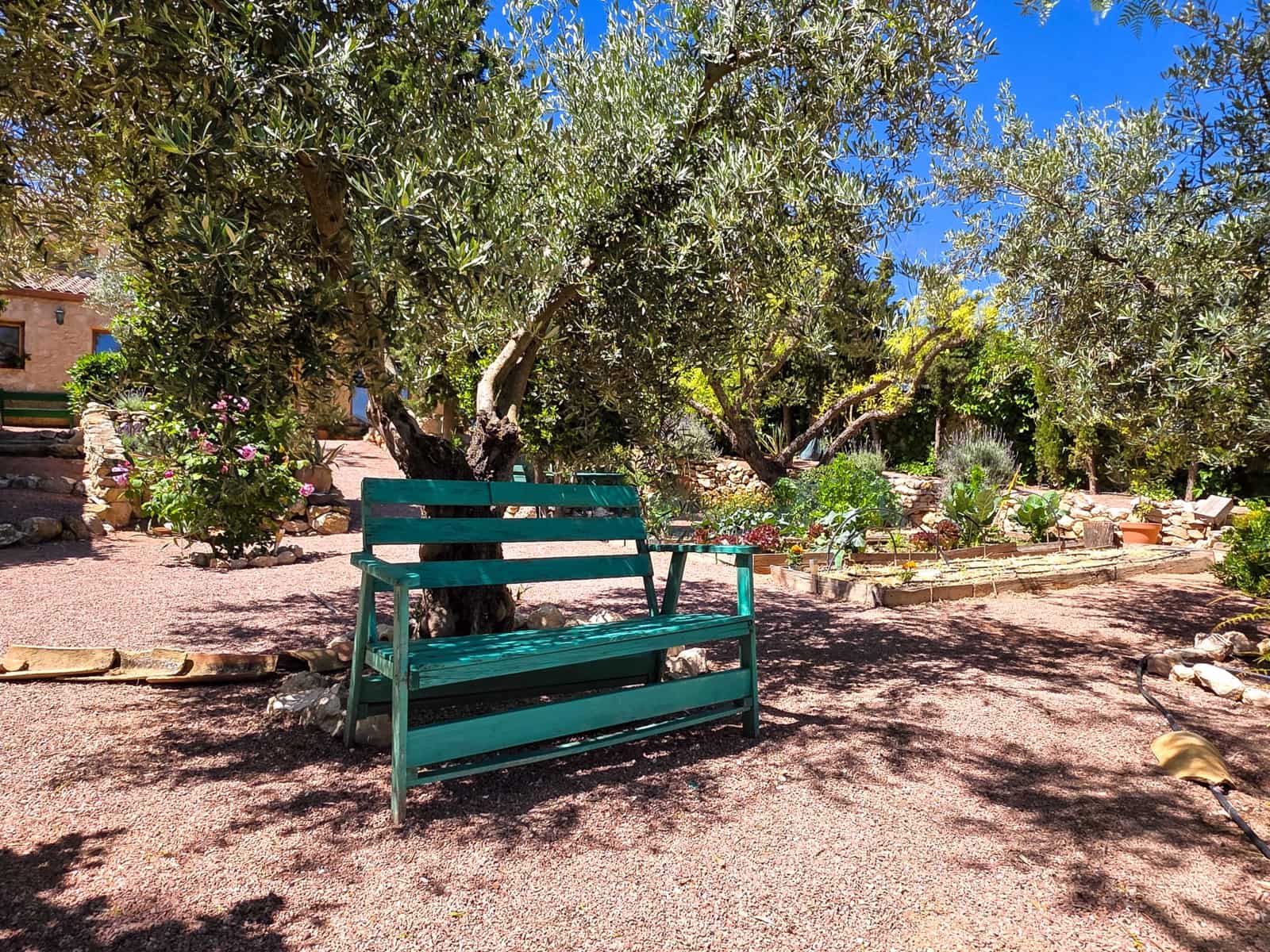 6 chambre Finca/Maison de Campagne à vendre à Torre del Rico avec piscine - 395 000 € (Ref: 9910028)