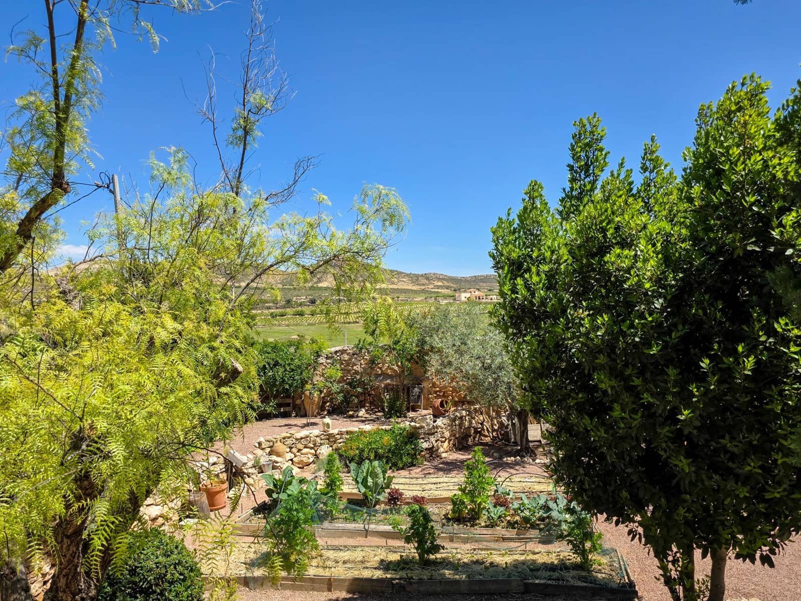 6 chambre Finca/Maison de Campagne à vendre à Torre del Rico avec piscine - 395 000 € (Ref: 9910028)