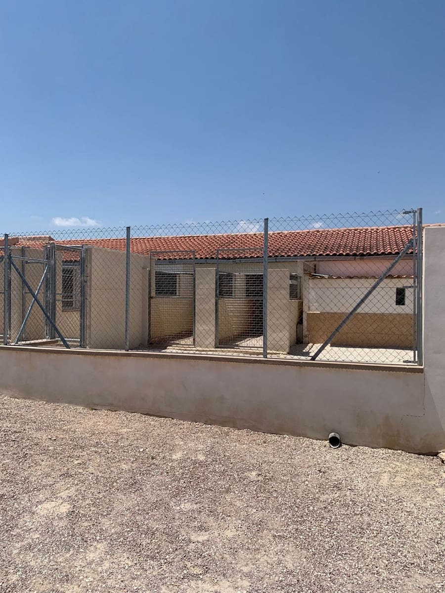 4 Zimmer Gewerbe zu verkaufen in Salinas mit Pool - 695.000 € (Ref: 9928728)