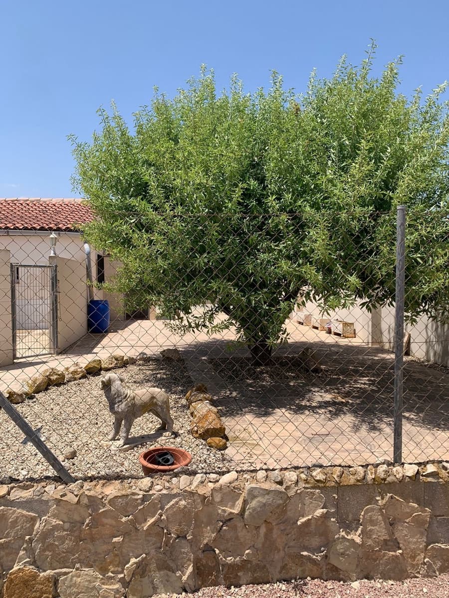 4 Zimmer Gewerbe zu verkaufen in Salinas mit Pool - 695.000 € (Ref: 9928728)