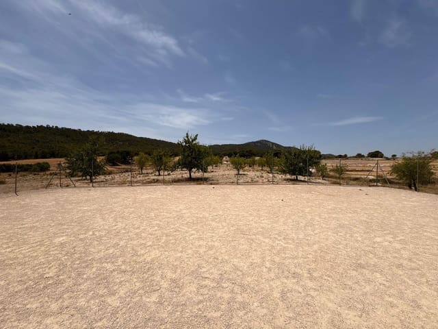4 Zimmer Gewerbe zu verkaufen in Salinas mit Pool - 695.000 € (Ref: 9928728)