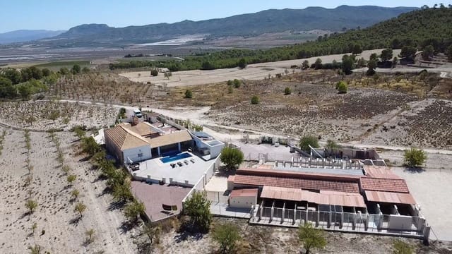 4 slaapkamer Commercieel te koop in Salinas met zwembad - € 695.000 (Ref: 9928728)