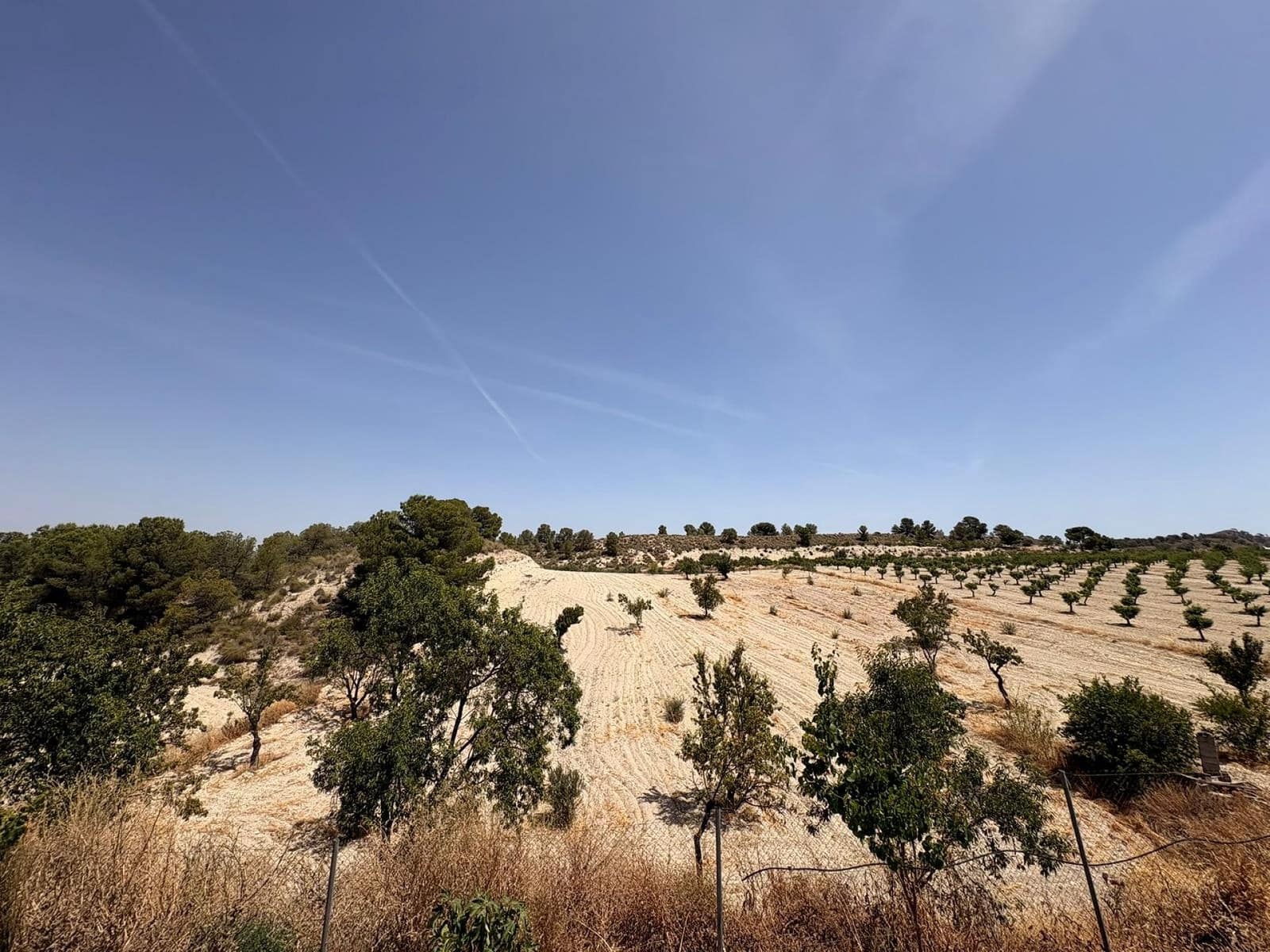 6 soveværelse Finca/Landehus til salg i Jumilla med swimmingpool garage - € 425.000 (Ref: 9939335)