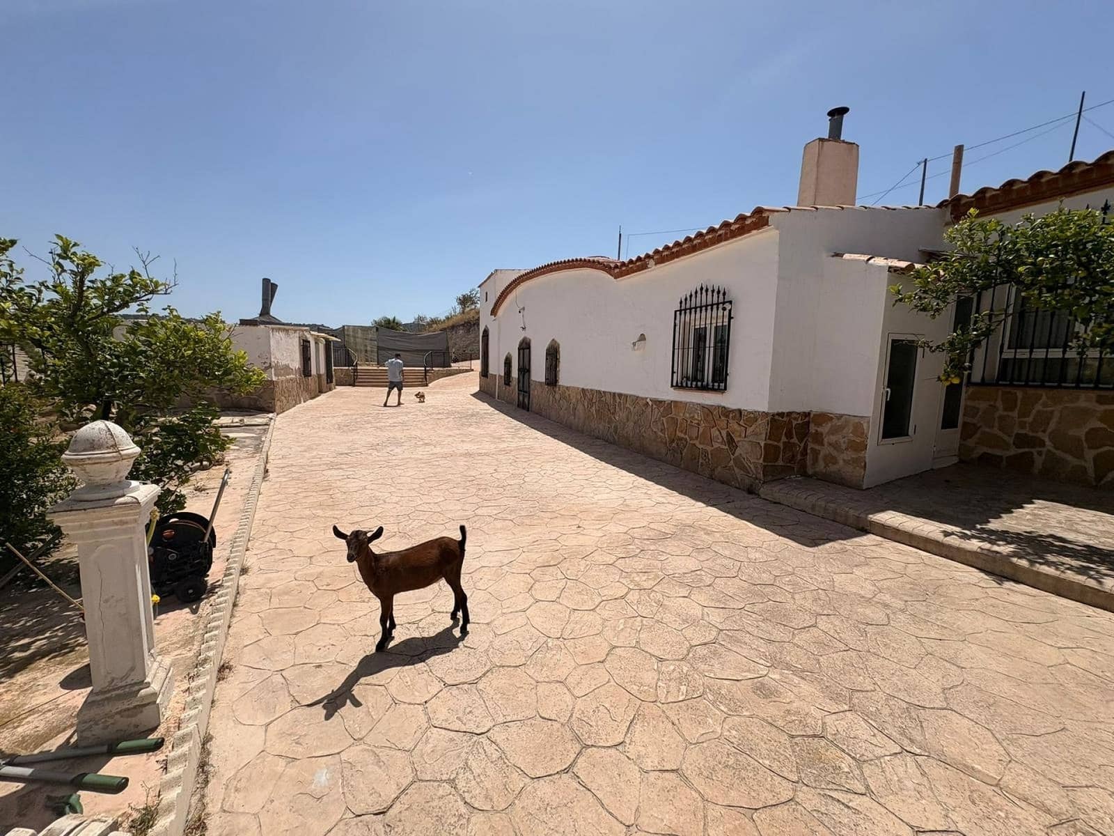 6 soveværelse Finca/Landehus til salg i Jumilla med swimmingpool garage - € 425.000 (Ref: 9939335)
