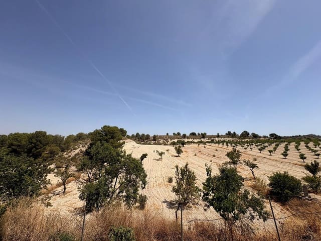6 soveværelse Finca/Landehus til salg i Jumilla med swimmingpool garage - € 425.000 (Ref: 9939335)