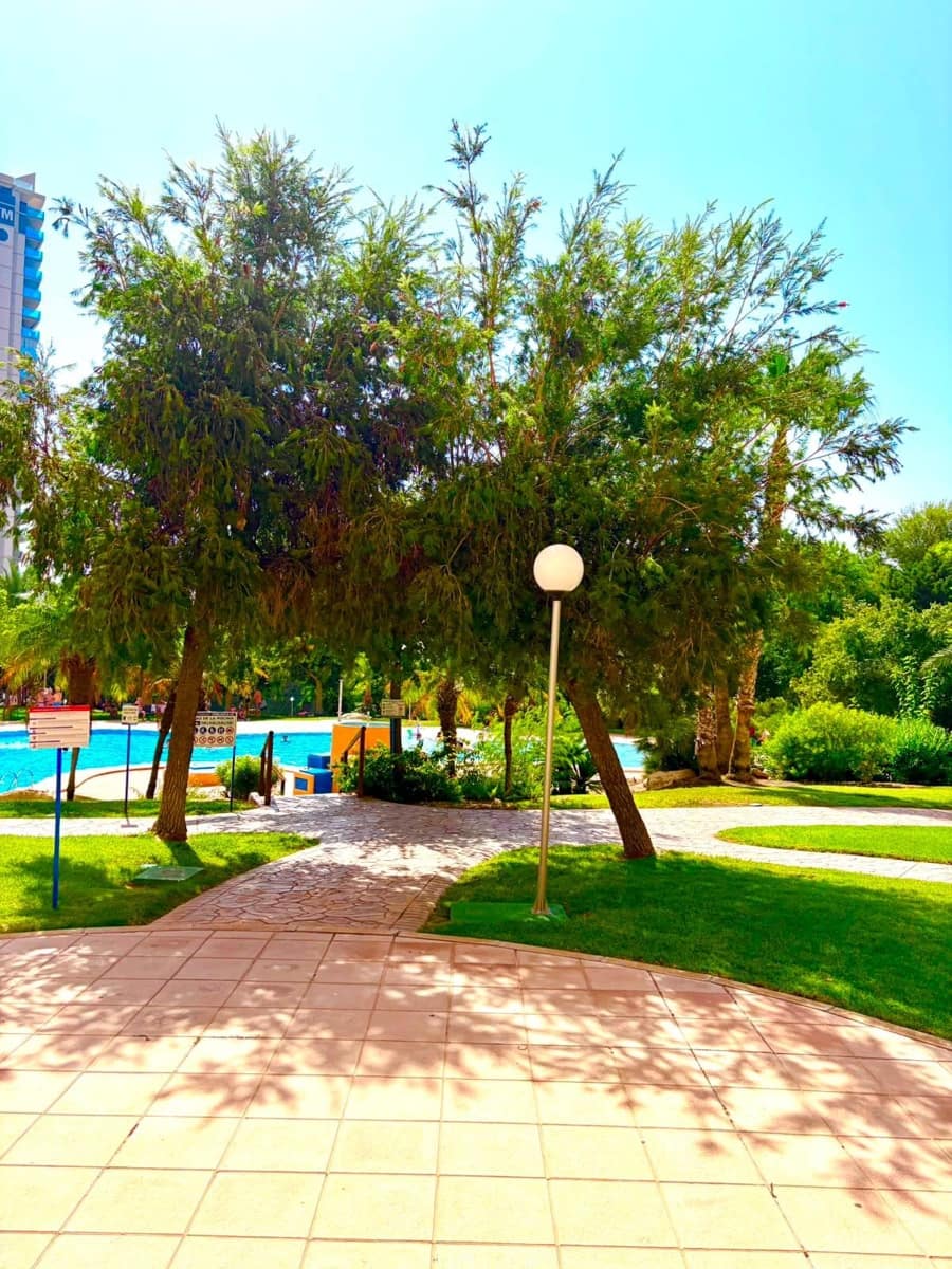 2 slaapkamer Flat te koop in Benidorm met zwembad garage - € 495.000 (Ref: 10000242)