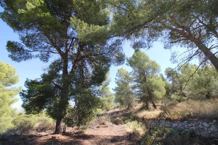 6 soveværelse Villa til salg i Villena med garage - € 798.000 (Ref: 10139896)
