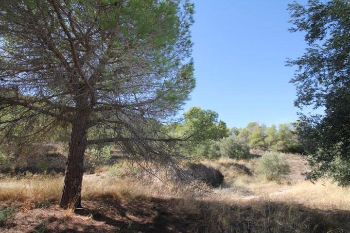 6 soveværelse Villa til salg i Villena med garage - € 798.000 (Ref: 10139896)