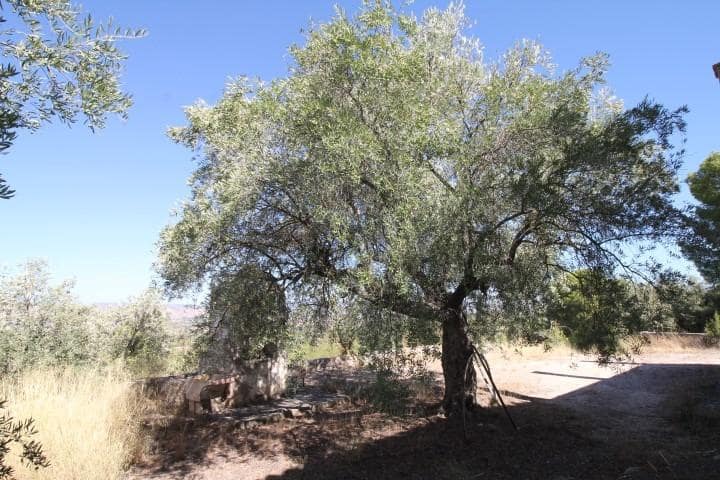 6 soveværelse Villa til salg i Villena med garage - € 798.000 (Ref: 10139896)