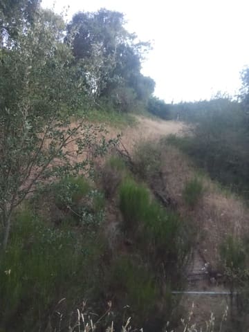 Terrain à Bâtir à vendre à Dehesas, Ponferrada - 80 000 € (Ref: 10139897)