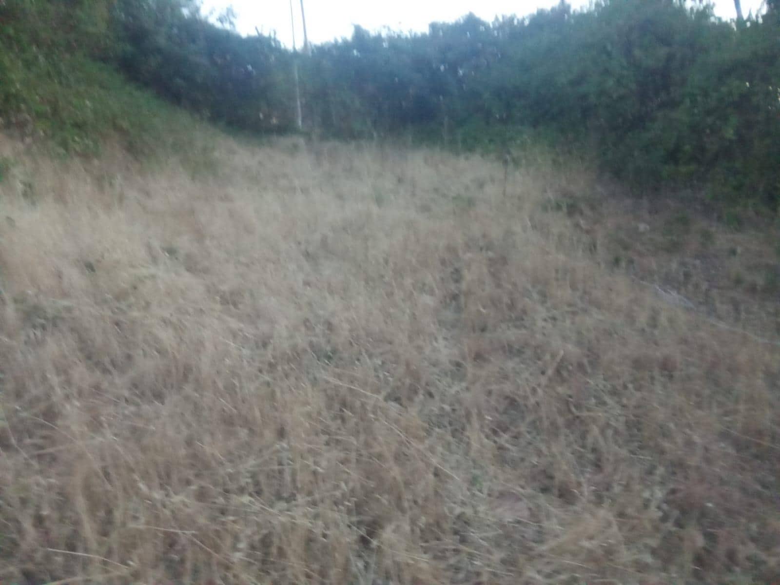 Terrain à Bâtir à vendre à Dehesas - 80 000 € (Ref: 10139897)