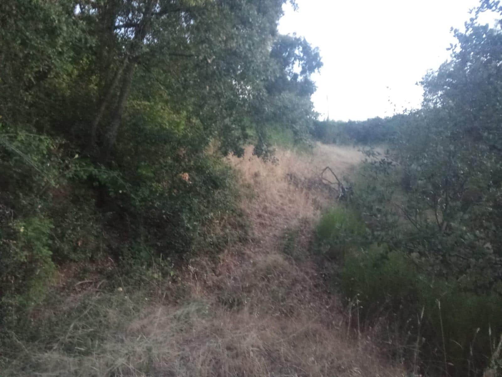 Terrain à Bâtir à vendre à Dehesas - 80 000 € (Ref: 10139897)