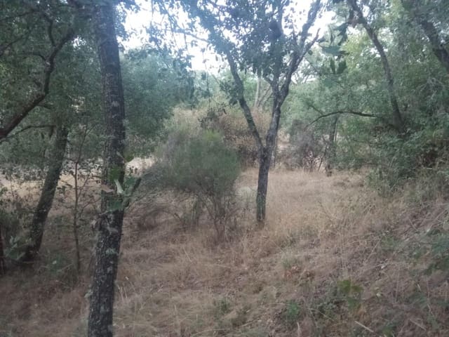 Terrain à Bâtir à vendre à Dehesas, Ponferrada - 80 000 € (Ref: 10139897)