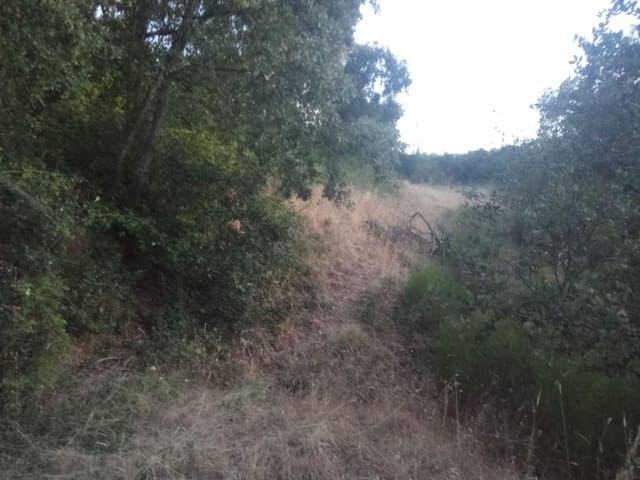Terrain à Bâtir à vendre à Dehesas, Ponferrada - 80 000 € (Ref: 10139897)