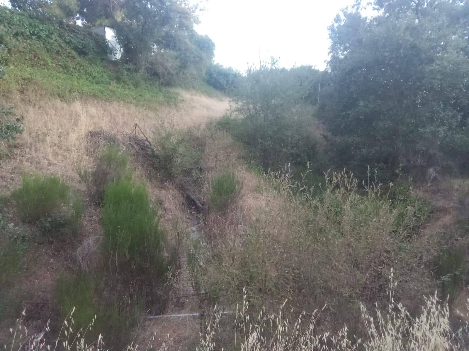 Terrain à Bâtir à vendre à Dehesas - 80 000 € (Ref: 10139897)