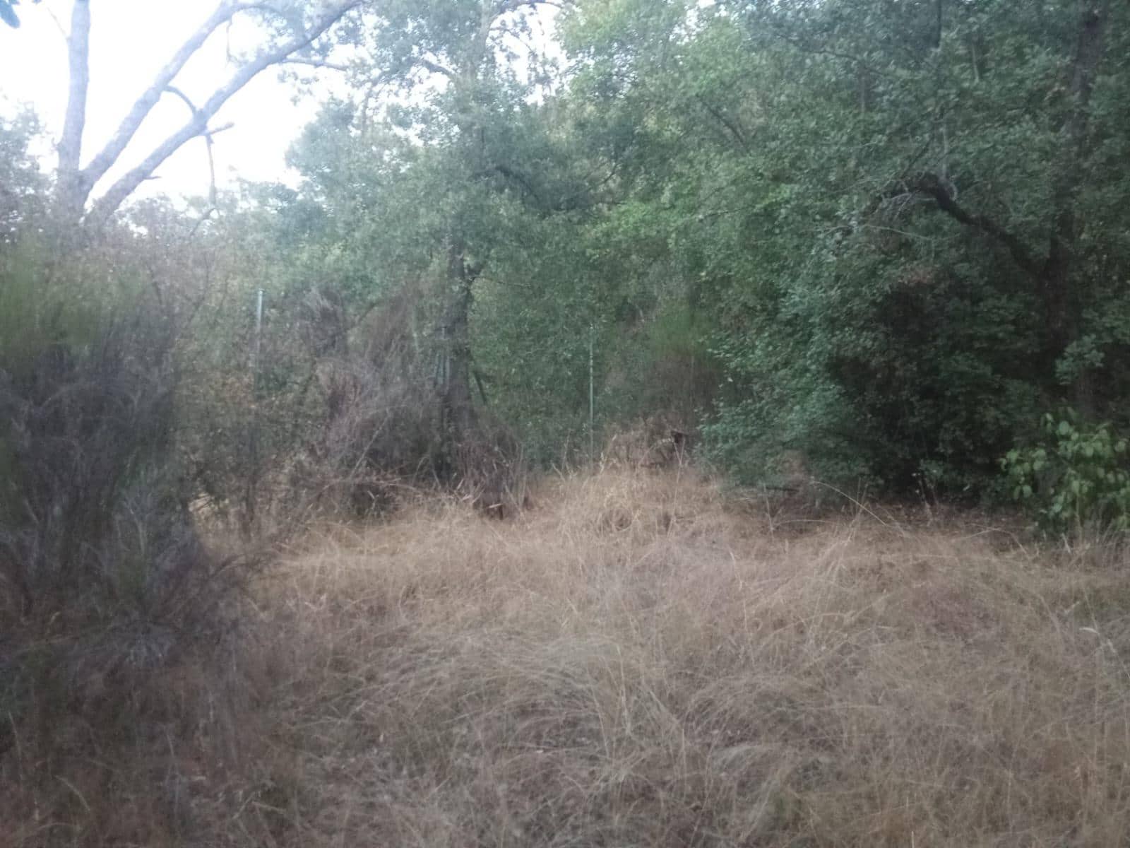 Terrain à Bâtir à vendre à Dehesas - 80 000 € (Ref: 10139897)