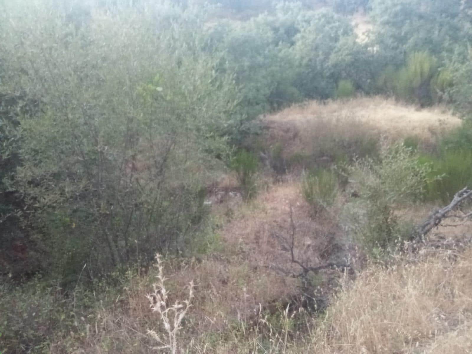 Terrain à Bâtir à vendre à Dehesas - 80 000 € (Ref: 10139897)