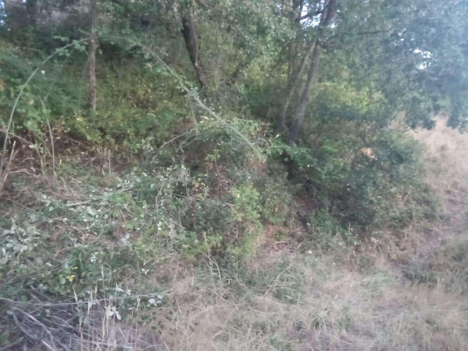 Terrain à Bâtir à vendre à Dehesas - 80 000 € (Ref: 10139897)