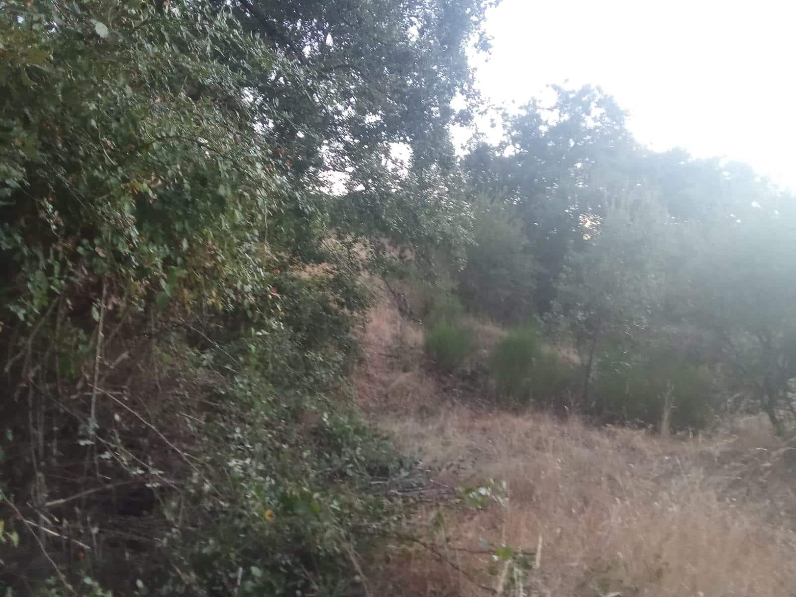 Terrain à Bâtir à vendre à Dehesas - 80 000 € (Ref: 10139897)