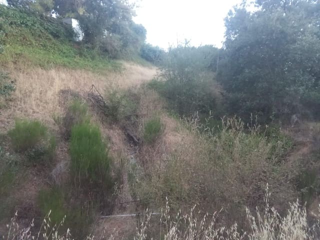 Terrain à Bâtir à vendre à Dehesas, Ponferrada - 80 000 € (Ref: 10139897)
