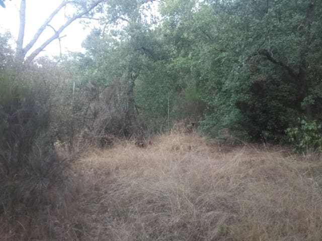 Terrain à Bâtir à vendre à Dehesas, Ponferrada - 80 000 € (Ref: 10139897)