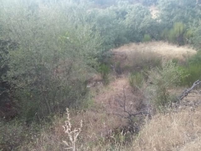Terrain à Bâtir à vendre à Dehesas, Ponferrada - 80 000 € (Ref: 10139897)
