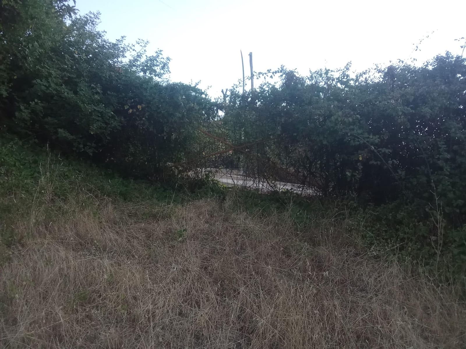 Terrain à Bâtir à vendre à Dehesas - 80 000 € (Ref: 10139897)