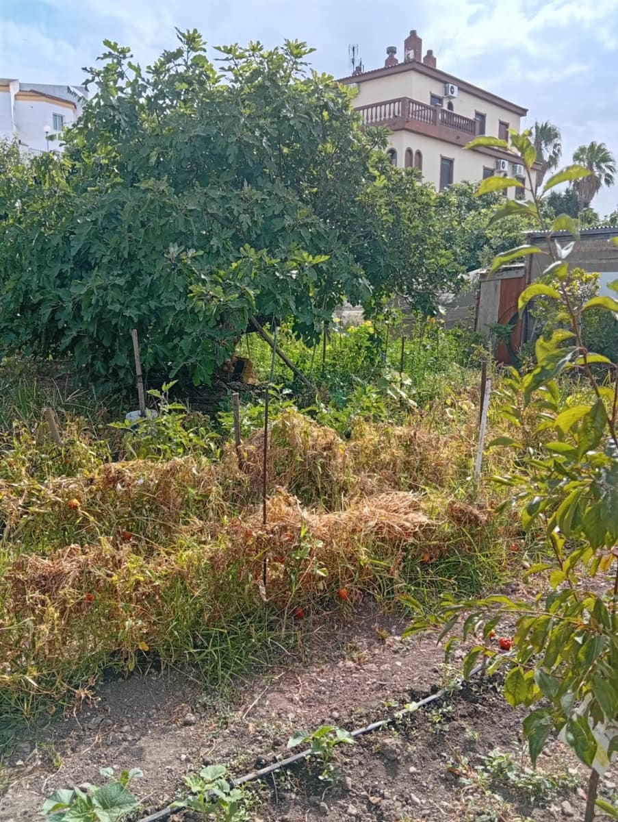 2 soverom Villa til salgs i Ayamonte med garasje - € 890 000 (Ref: 10142557)