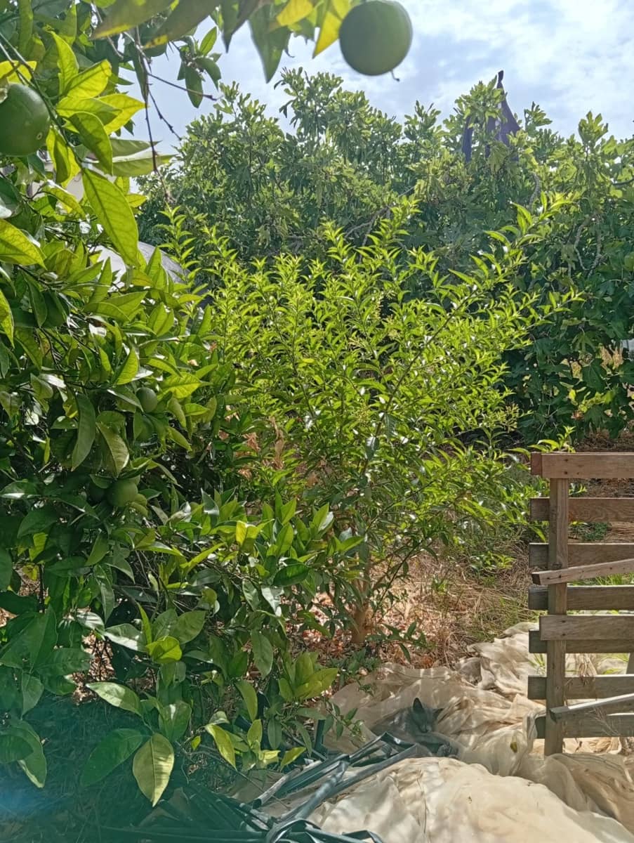 2 soverom Villa til salgs i Ayamonte med garasje - € 890 000 (Ref: 10142557)