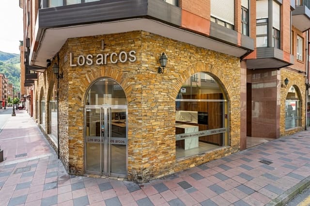 5 soverom Kommersiell til salgs i Mieres - € 325 000 (Ref: 10159617)