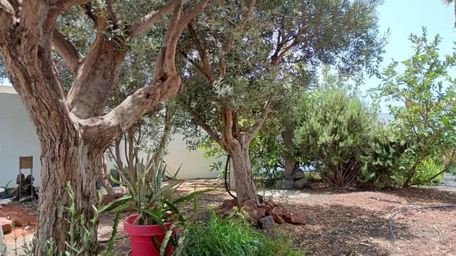 5 soverom Villa til salgs i Playa Blanca, Yaiza med svømmebasseng garasje - € 1 570 000 (Ref: 10166847)