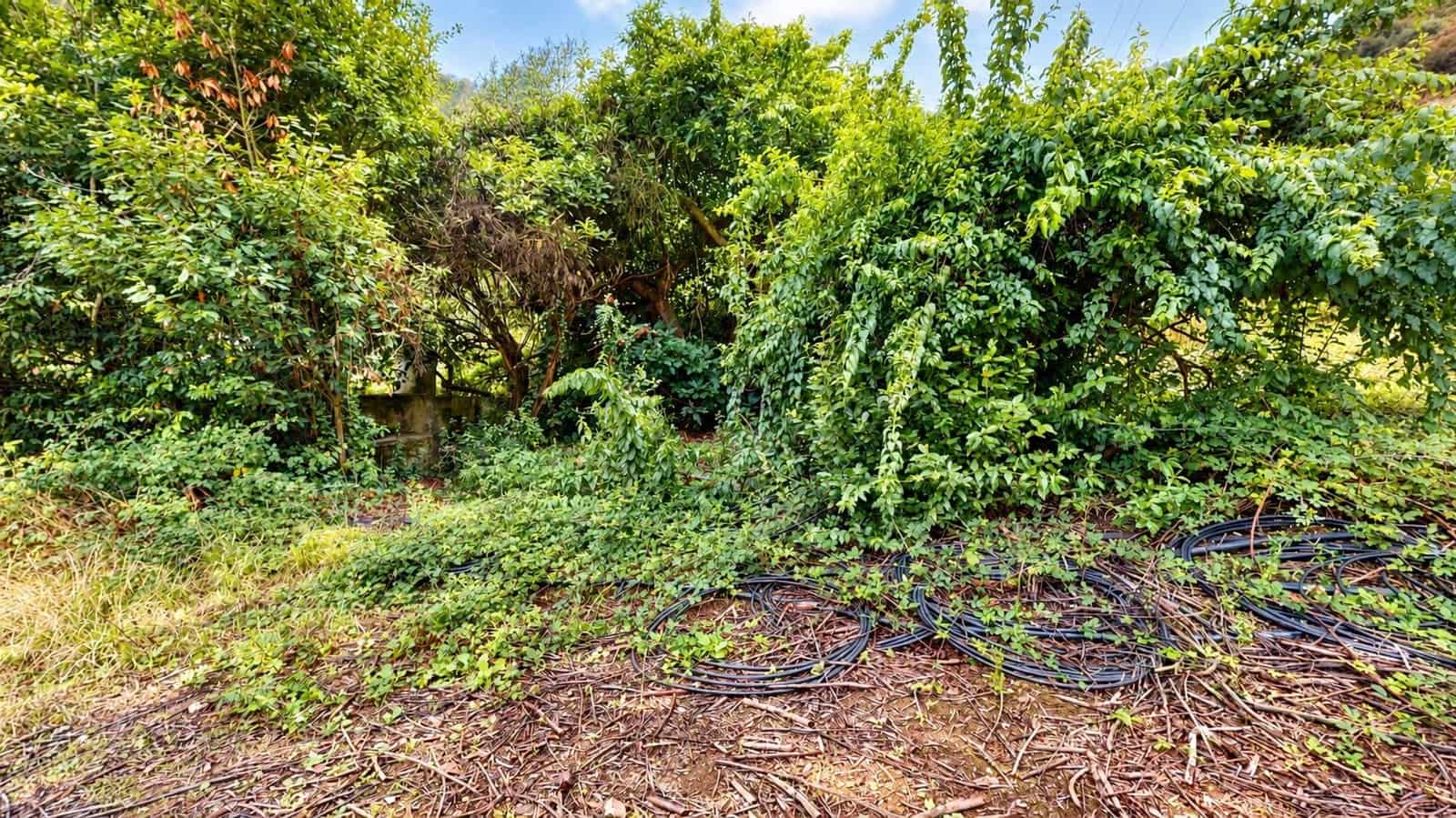 2 sypialnia Finka/Dom wiejski na sprzedaż w Valleseco z garażem - 229 000 € (Ref: 10166850)