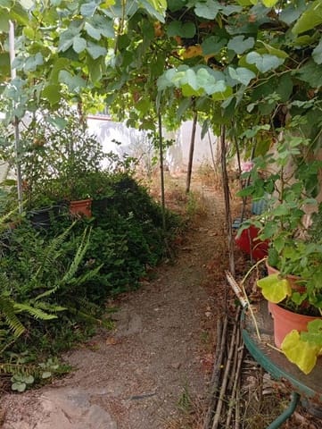 Tontti myytävänä paikassa Ayamonte - 880 000 € (Ref: 10171554)