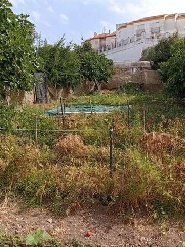 Tontti myytävänä paikassa Ayamonte - 880 000 € (Ref: 10171554)