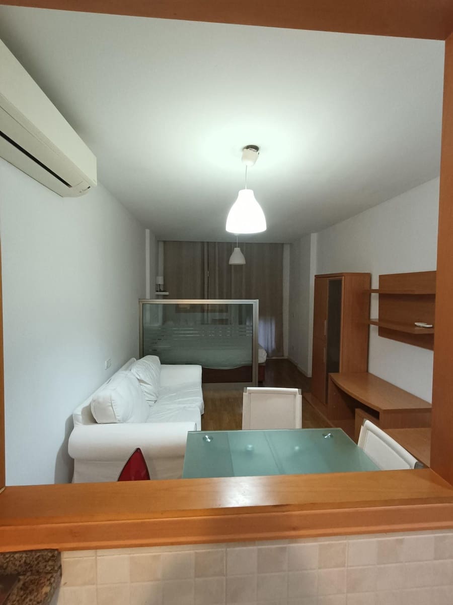 Monolocale da affittare in Las Palmas de Gran Canaria - 750 € (Rif: 10184855)
