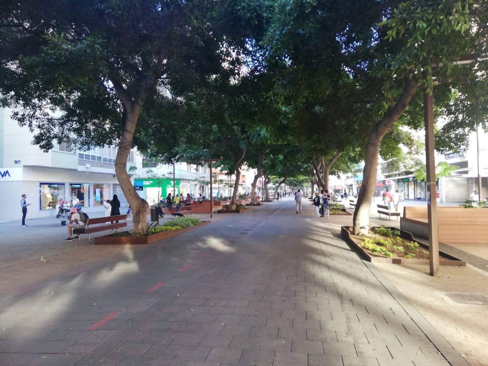 Biuro do wynajęcia w Las Palmas de Gran Canaria - 500 € (Ref: 9119161)