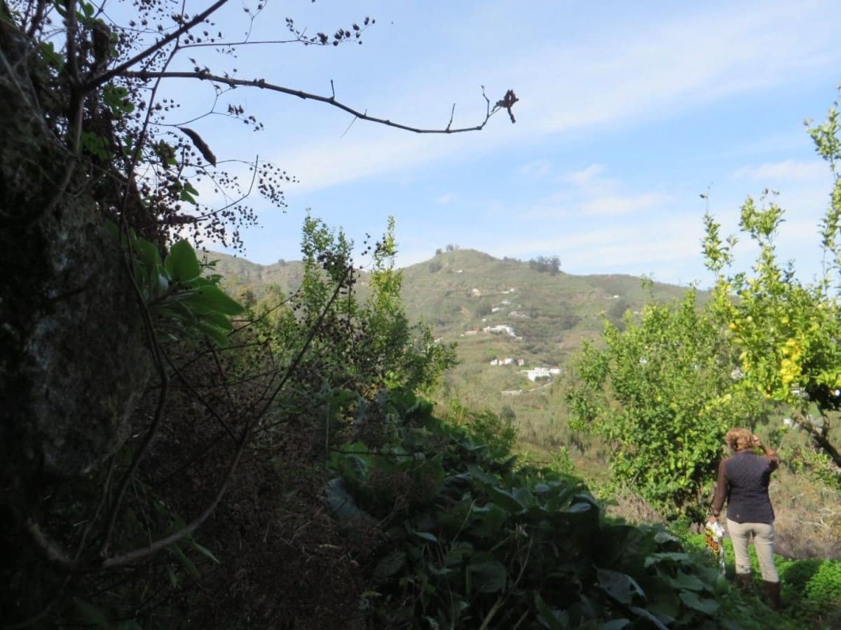 Grunde uden byggetilladelser til salg i Teror - € 38.000 (Ref: 9119165)