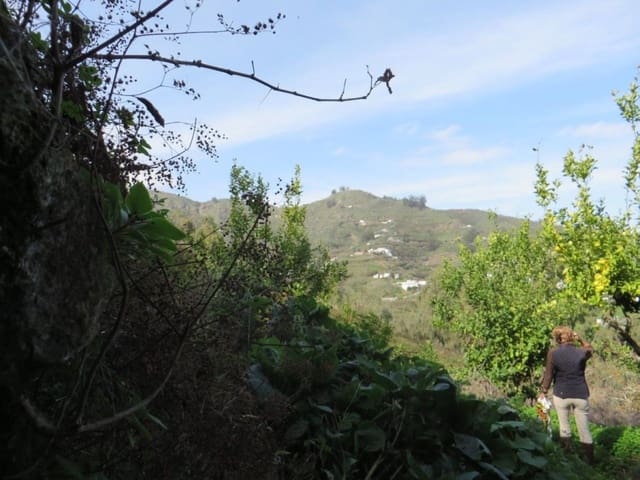 Grunde uden byggetilladelser til salg i Teror - € 38.000 (Ref: 9119165)