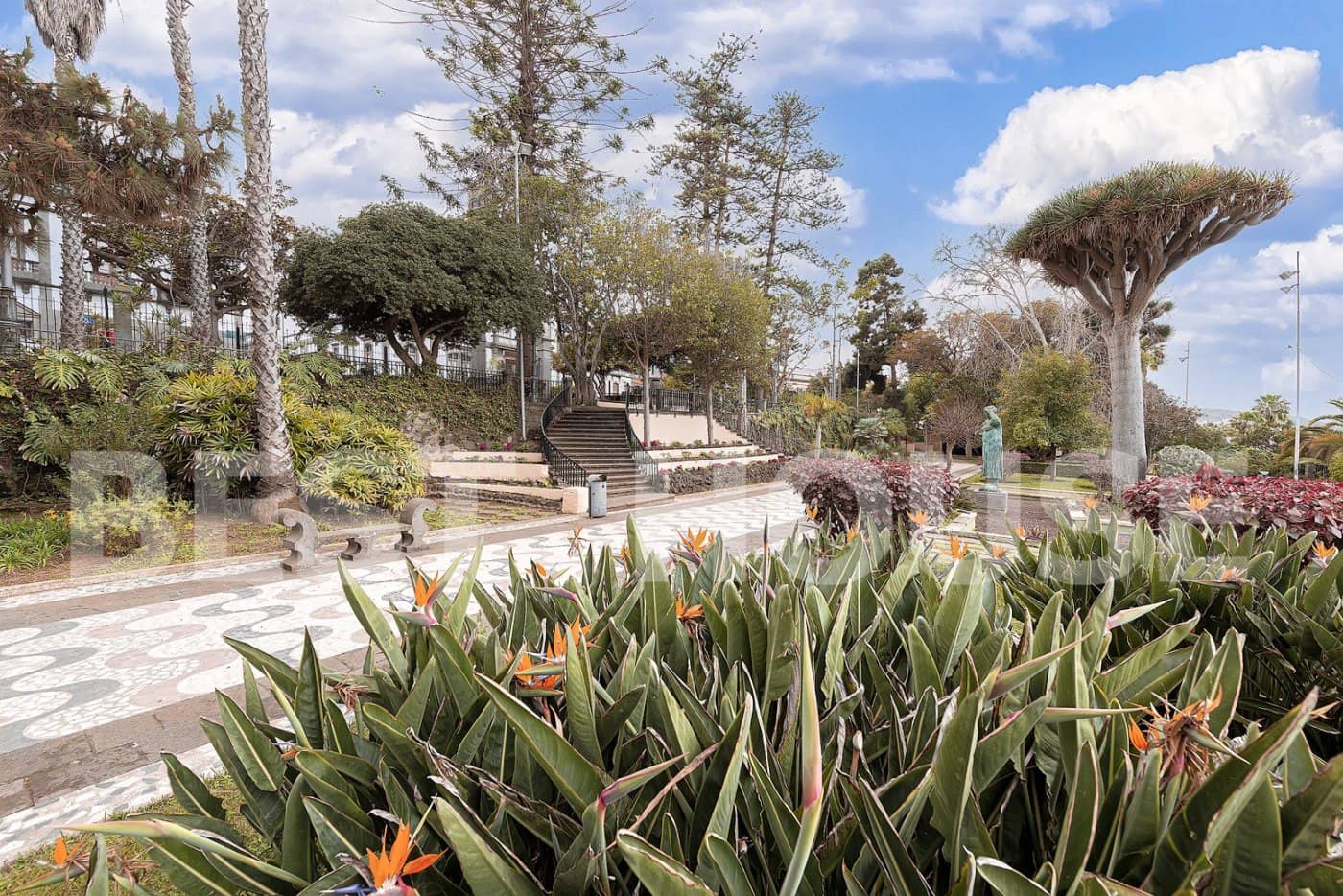 5 soveværelse Byhus til salg i Arucas - € 395.000 (Ref: 9119199)