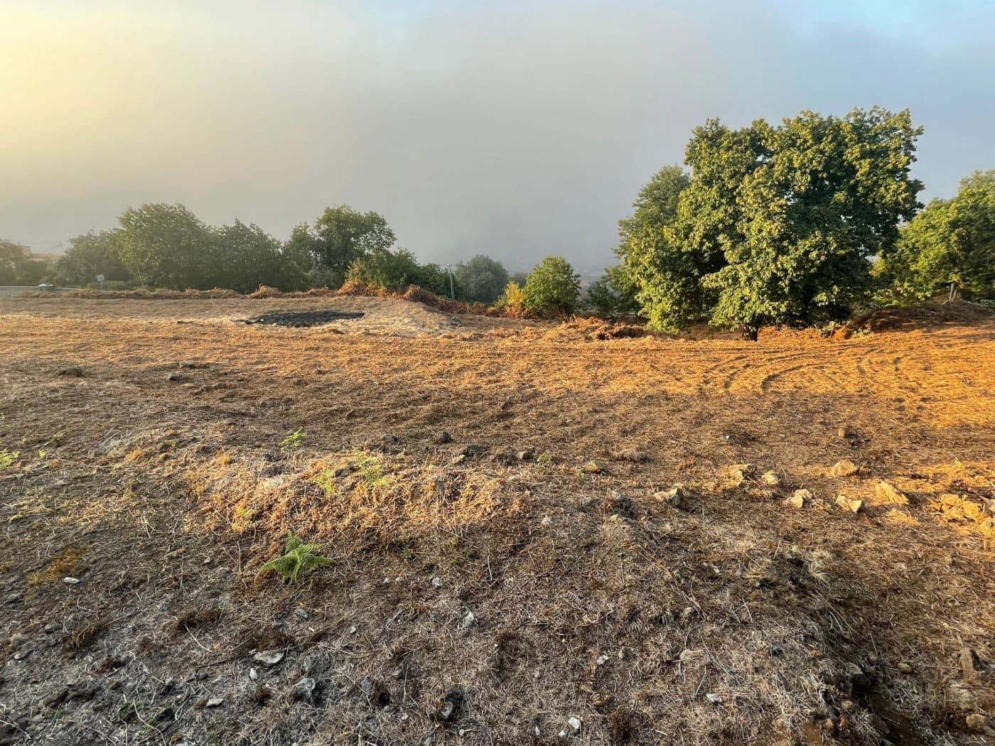 Grond te koop in La Orotava - € 70.000 (Ref: 9119201)