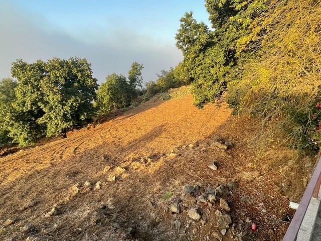 Undeveloped Land for sale in La Orotava - € 70,000 (Ref: 9119201)