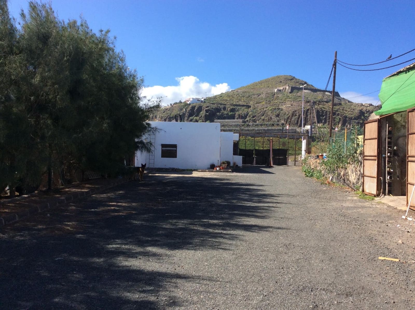 Finca/Landhuis te koop in Arucas met zwembad - € 2.255.000 (Ref: 9119224)