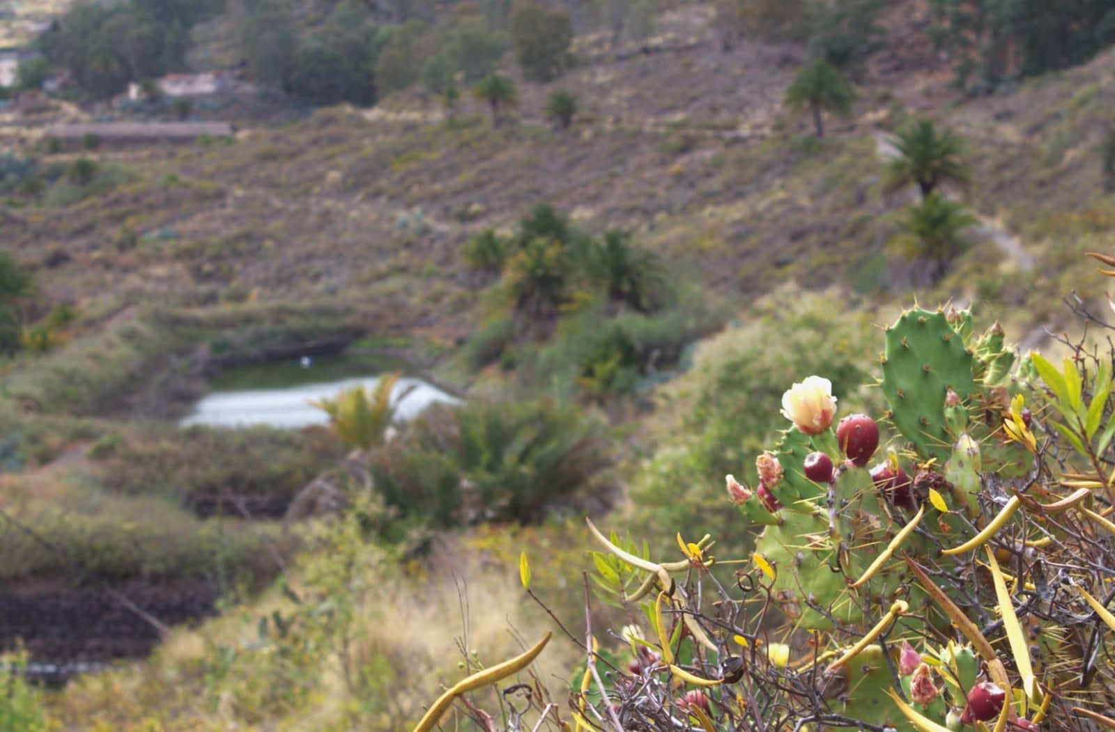 Byggegrund til salg i San Lorenzo - € 450.000 (Ref: 9119234)